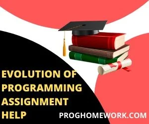 Evolution of Programming Assignment Help