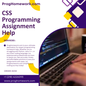 CSS Programming Assignment Help