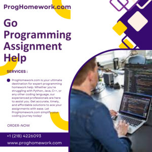 Go Programming Assignment Help