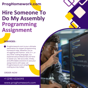 Hire Someone To Do My Assembly Programming Assignment