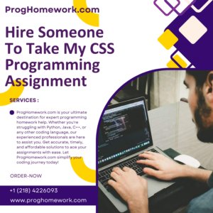 Hire Someone To Take My CSS Programming Assignment