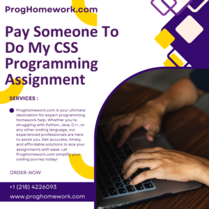 Pay Someone To Do My CSS Programming Assignment