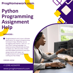 Python Programming Assignment Help